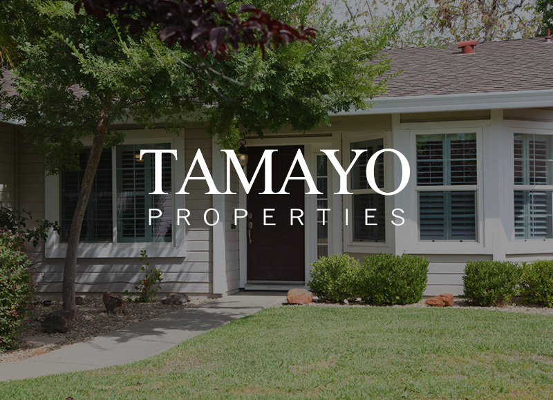tamayo-properties
