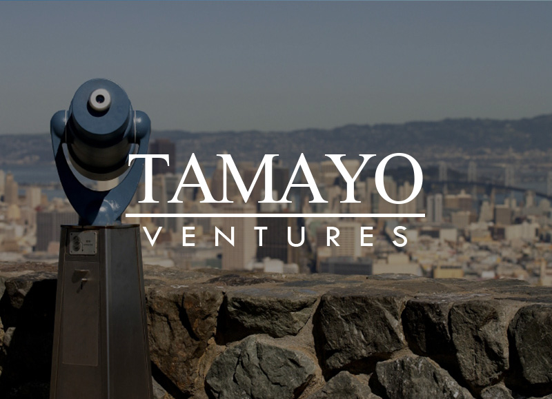 tamayo-ventures